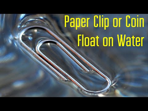 Make A Paper Clip Or Coin Float On Water - Cool Bar Trick