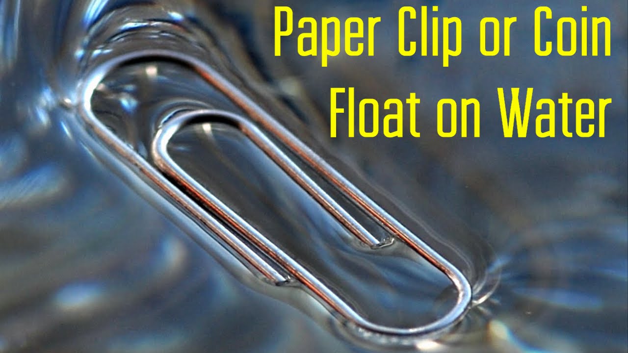 Make a Paper Clip or Coin Float on Water - YouTube