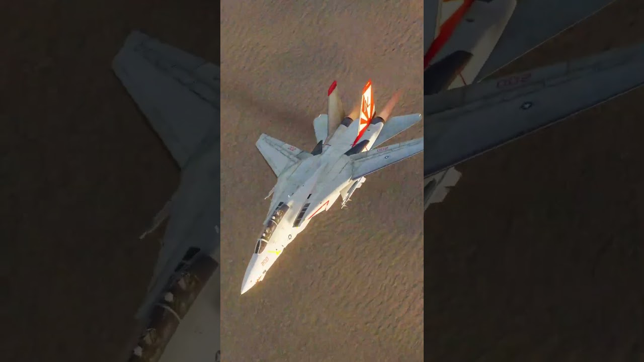 F-14 Tomcat - Fast Dogfight and it felt damn good!!! | DCS World