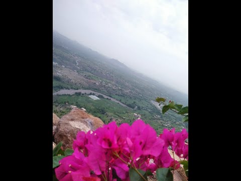 ايوب طارش اغيد روغيد رشتني خفتك وادي موقعة Explore محب النبي يصلي عليه صلوا على النبي