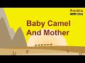 Baby camel and mother  english stories  awabe