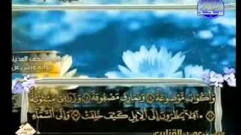 سورة الغاشية الشيخ عمر القزابري