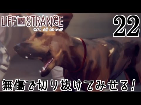 Life Is Strange ライフ イズ ストレンジ 犬好きフランクから顧客リストをゲットせよ Part22 女性実況 Youtube