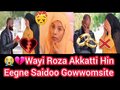 Muniiraan Saidootti Taphattee Hamilee Isaa Cabsuuf Maaliif Akka Waan Reef Sumayyaa Bartee