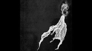 Faceless Entity (Netherlands) — The Shape of Absence — 2025 demo