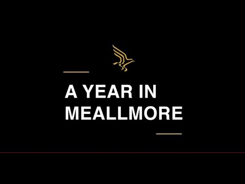 A Year in Meallmore