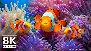 AQUARIUM 8K UHD - Beautiful Fish Swimming \u0026 Colorful Sea Life 🐳 Relaxing Music of the Blue Ocean #7