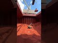 The Incredible Process of Cargo Ship Unloading | A Marvel of Engineering