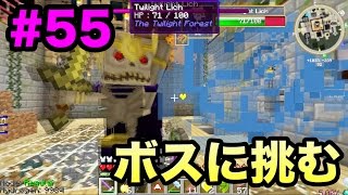 【マスオのマインクラフト４】宇宙の彼方へさぁ行くぞ　トワイライトリッチに挑む！#55