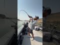 Dangle bite! #hookset