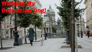 Woman's Best Friend!  A Daily Walk With My Dalmatian! screenshot 3
