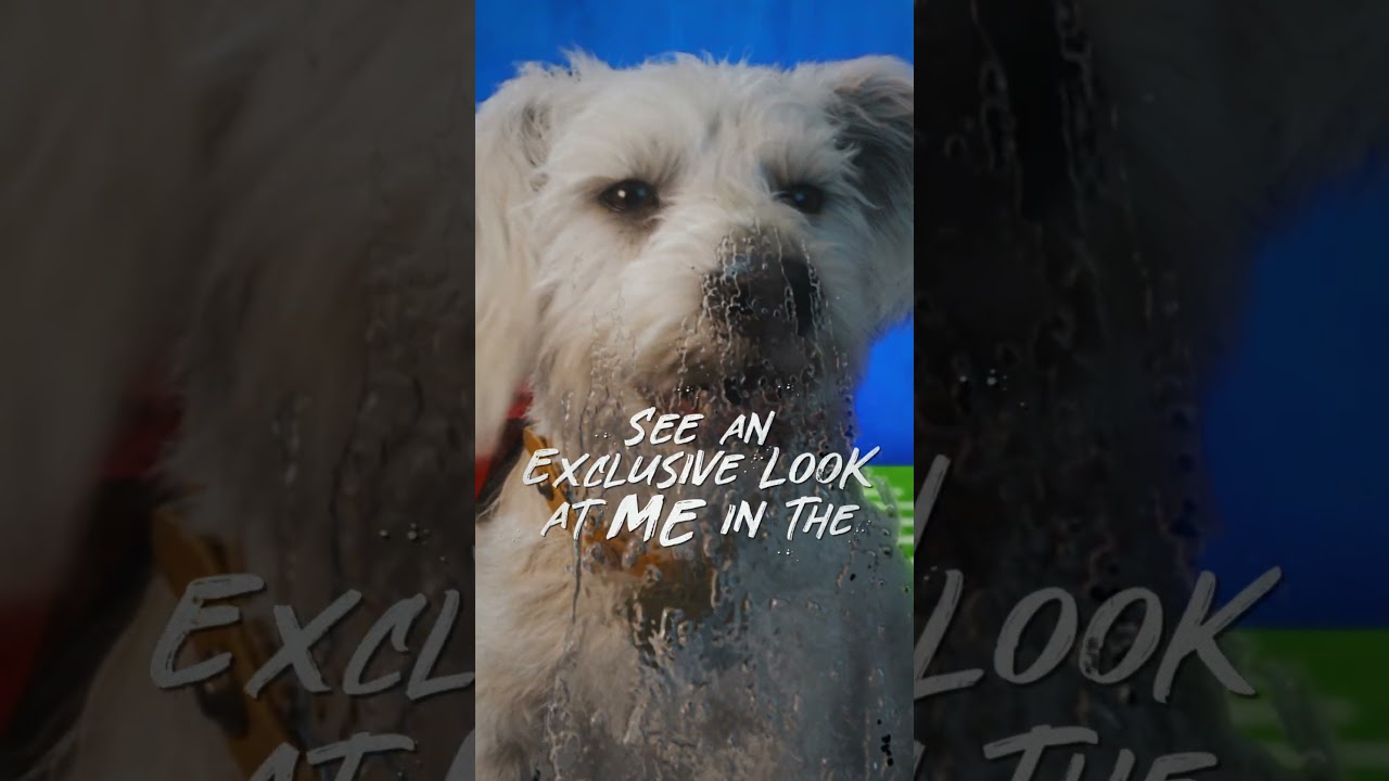 Tomorrow is the big day 🐾 Catch Krypto in #PuppyBowl