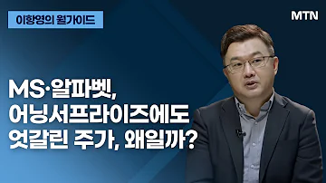 이항영의 월가이드 MS 알파벳 어닝서프라이즈에도 엇갈린 주가 왜일까 머니투데이방송 증시 증권