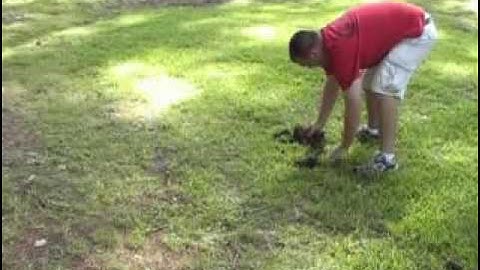 ScentLogix Buried aids, Explosive K9