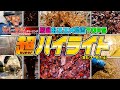 【消雪パイプ】リバーサルクリーニング厳選おススメ動画TOP5超ハイライト(R5/7~R7/6)【スッキリ動画】