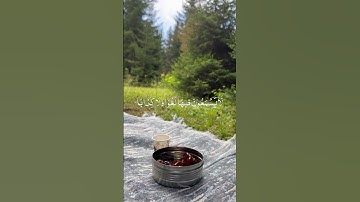 تلاوة هادئة مع الطبيعة - طارق محمد