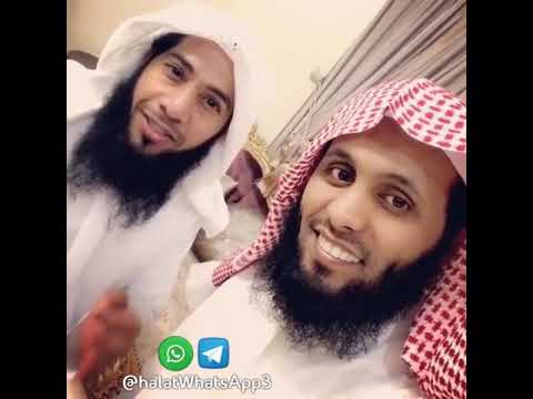 مقتطف حالة WhatsApp معنى كلمة التوحيد لا إله إلا الله قناة حالات WhatsApp