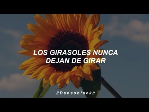 Luis Fonsi – Girasoles (Letra)