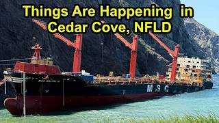 Progress on The Removal of The MSC Baltic III.