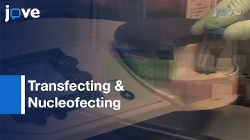 Transfecting & Nucleofecting Human Induced Pluripotent Stem Cells l Protocol Preview