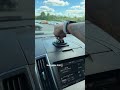 Fiiiiiinaaaalllllyyyyy found the one!!! #navigation #carphonemount #phonemount #summervibe #lifehack