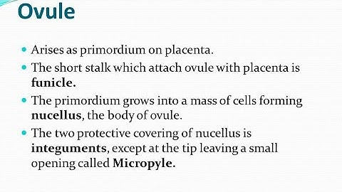 Structure and Types of ovules