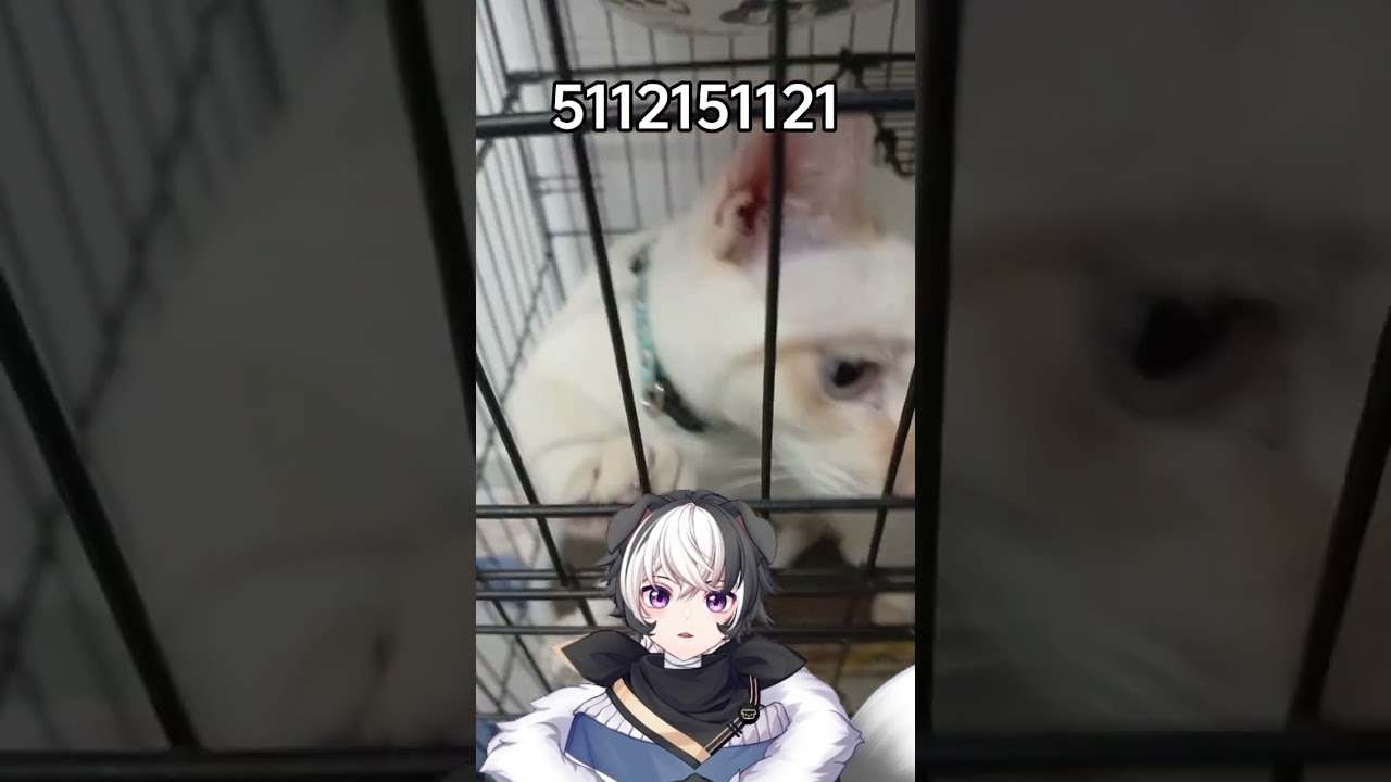 5112151121#vtuber #马v #哈基米 | MYViki