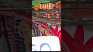 Giant Squid Street Food Pattaya Thailand