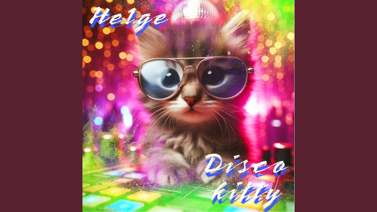 Disco kitty