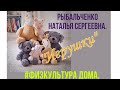 Физкультура дома.3. Младший дошк. возраст. &quot;Игрушки&quot;.