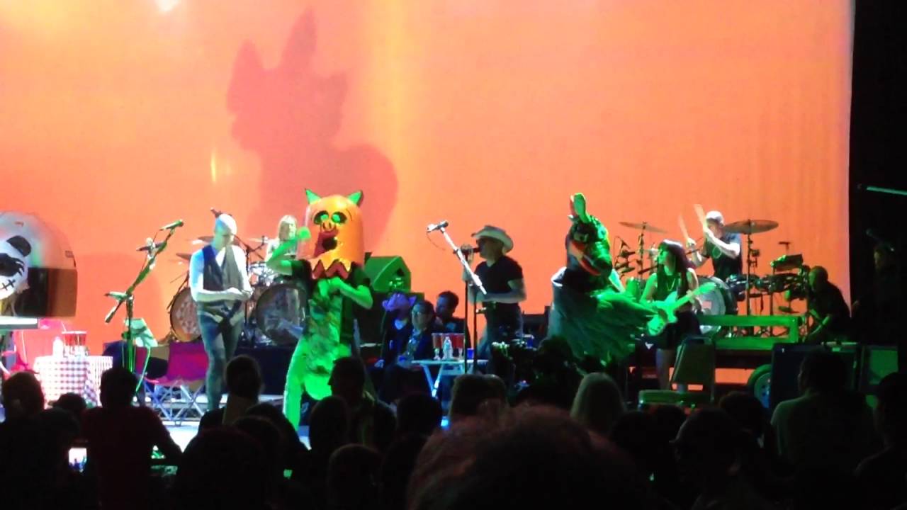 Green jello ft Maynard "little pig "live at the Greek 5/11/14 YouTube