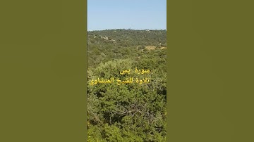 سورة يس للشيخ المنشاوي رحمه الله