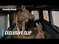 Checkpoint Zoo | Exclusive Clip | Joshua Zeman