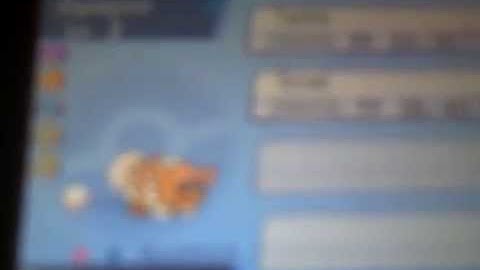 Live Shiny Zigzagoon After 62 Horde Encounters in Pokemon Alpha Sapphire