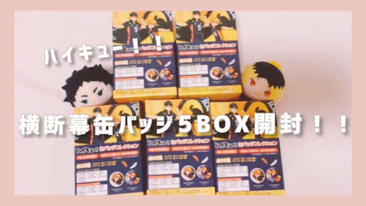 【新品未開封】ハイキュー!! 缶バッジコレクション 横断幕 10BOX まとめ Amazon.co.jp: ハイキュー?? 缶バッジコレクション 横断幕 フルカラー