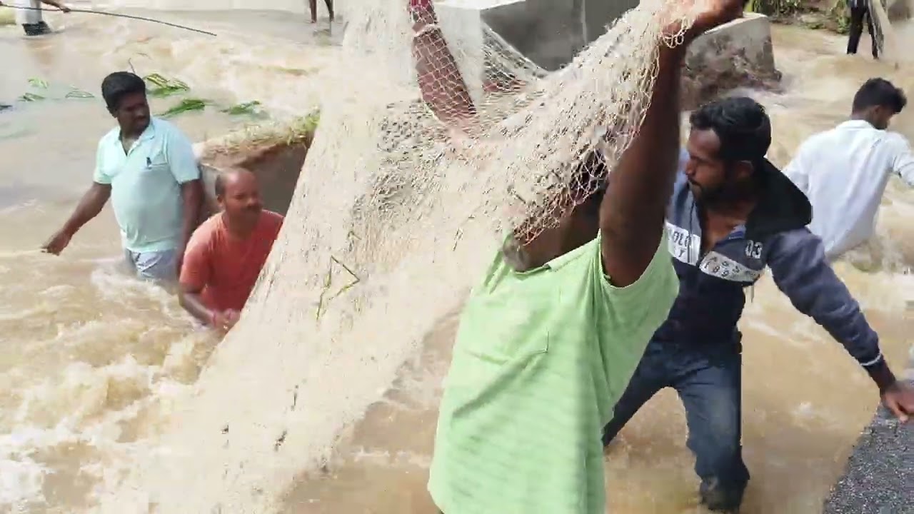 #fish hunting video మా చెరువు తెగి చేపలు అన్ని పోతున్నాయి