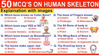 MCQ on Human Skeleton System || MCQ'S Quiz on Skeleton || Bones || Mcq on skeletal system aiims screenshot 4