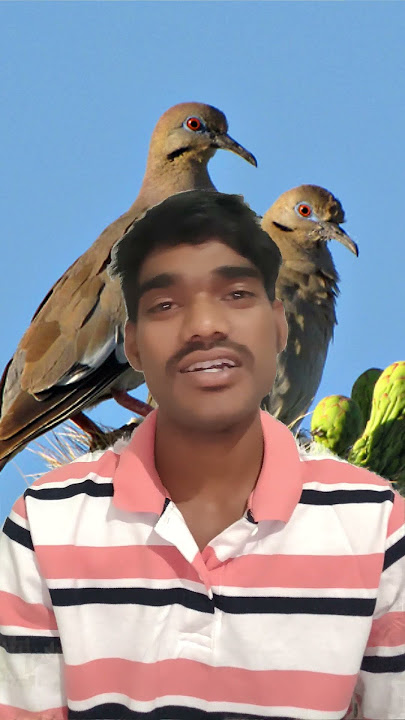 Nowa dharti puri re potam leka #jesus #song #christian #santhali