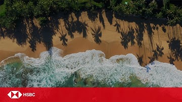 HSBC - Transition to Net Zero – Sustainable Finance