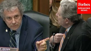 'Well That's Your Opinion!': John Kennedy, Sherrod Brown Clash During Questioning Of Saule Omarova