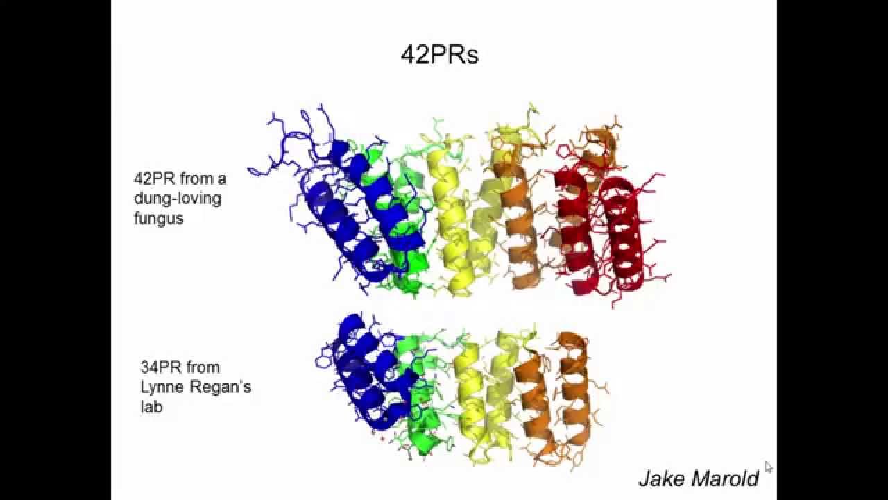 Quantifying cooperativity in protein folding using different families