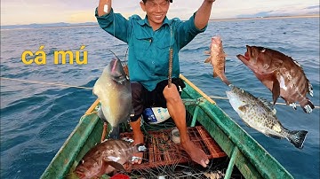 Câu cá mú kiếm ăn thôi...!!!