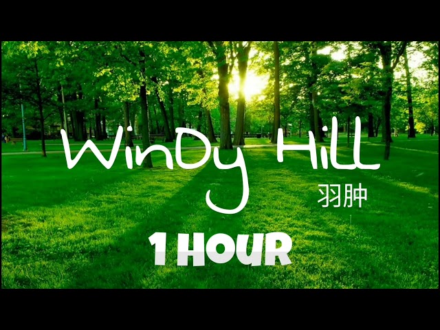 WINDY HILL  - NHẠC ĐỌC SÁCH - LÀM VIỆC - THƯ GIẢN class=