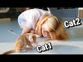 CAT CAFE in Korea AMWF [국제커플] 외국인 아내와 고양이 카페 데이트