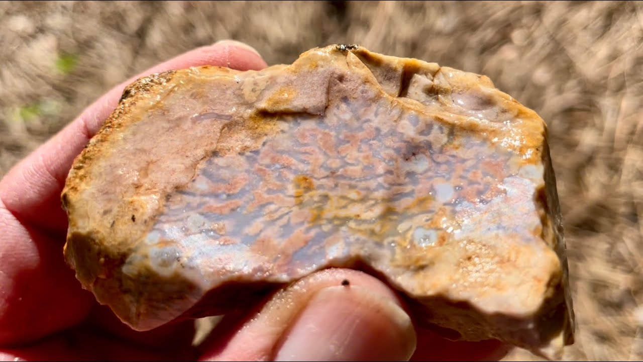 Rockhounding on the Mogollon Rim, Arizona. I found some amazing ...