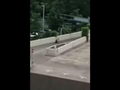 Cellphone Video Shows Munich Gunman on Roof