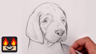 How To Draw a DOG | GREAT DANE PUPPY | Sketch Tutorial