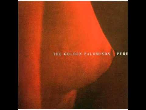 The Golden Palominos - Little Suicides - YouTube