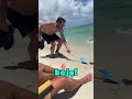 PODEJRZANY GAD ЁЯжОЁЯХ я ПтАНтЩВя ПЁЯШП PODEJRZANY GAD ЁЯжОЁЯХ я ПтАНтЩВя ПЁЯШП