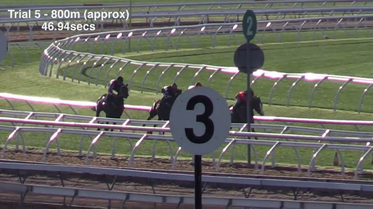 Flemington Jumpouts | 1 October 2015 | Heat 5